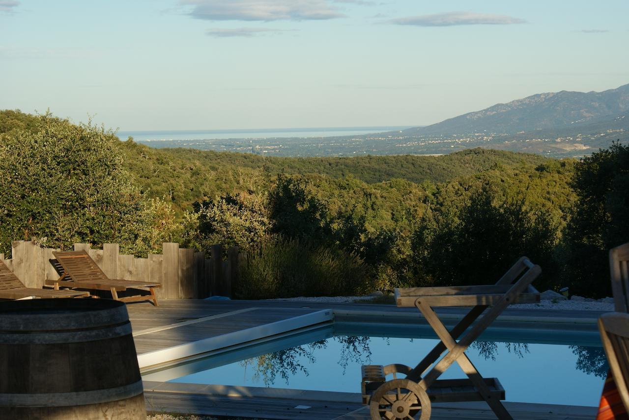 Bed and Breakfast Mas La Marchette à Céret Extérieur photo